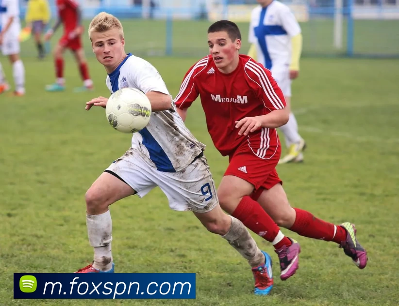 火狐体育资讯平台生态图